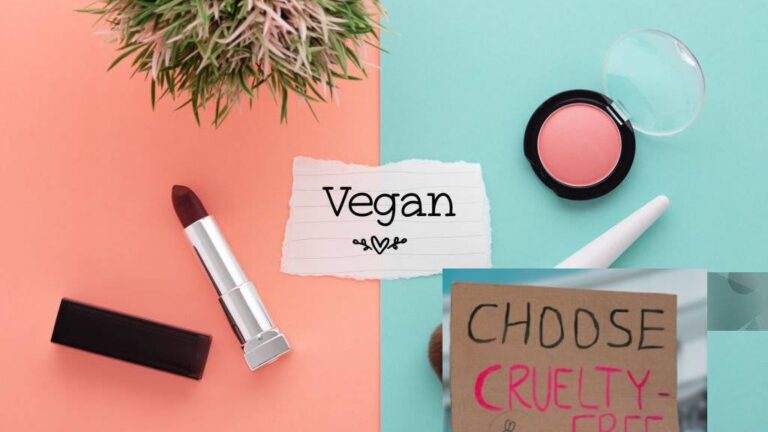 Top 5 Vegan Makeup Brands