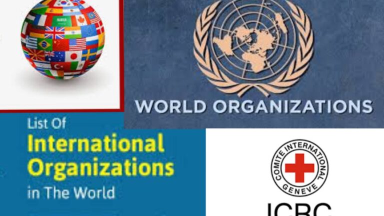 international organizations