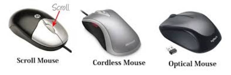 Computer Mouse