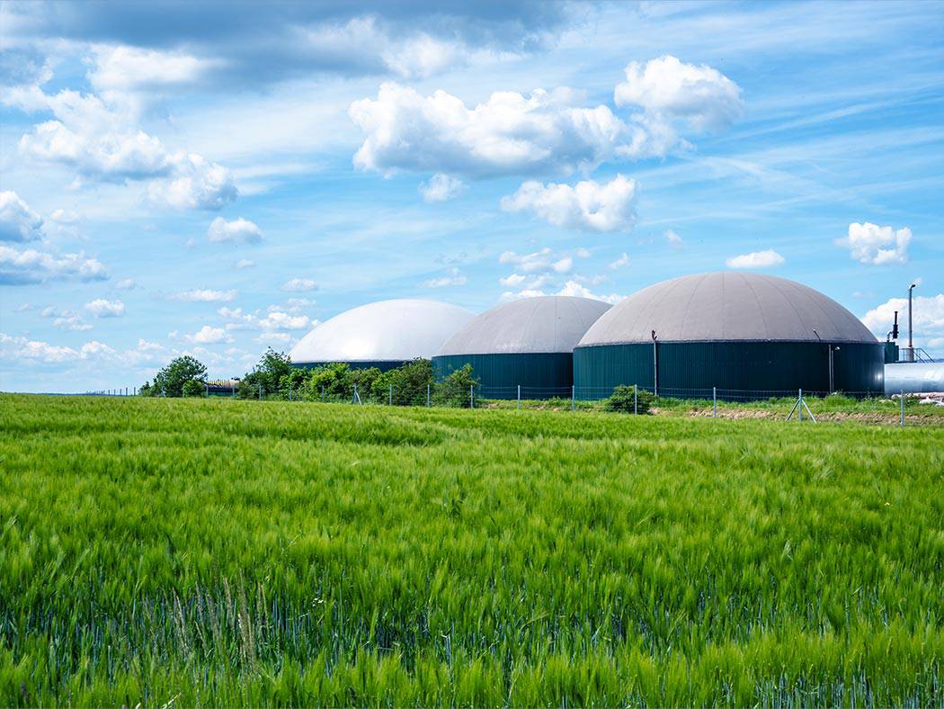 Green Energy and Biogas