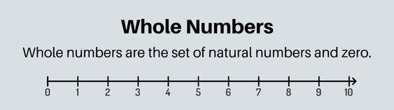 Whole Numbers