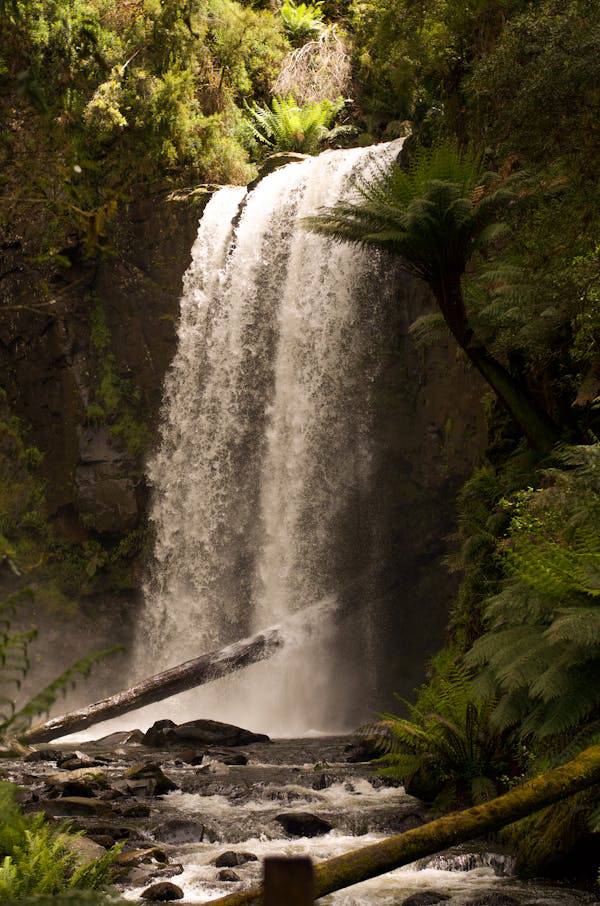 The Seven Natural Wonders of the World