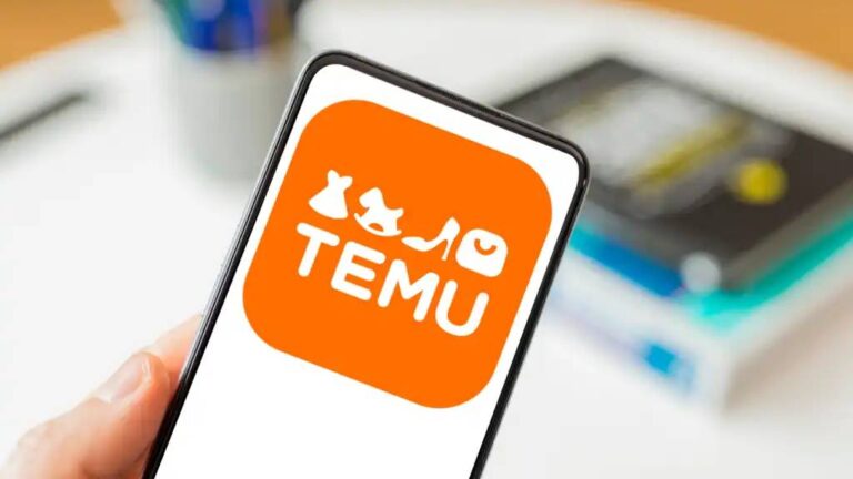 Who Owns Temu : The Affordable Online Marketplace